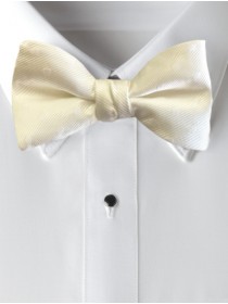 'Allure' Tonal Bow Tie - Diamond White